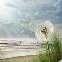 Hugh Sun