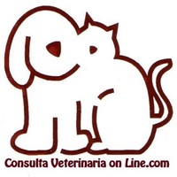 Consulta Veterinaria On Line