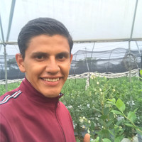 Jose Fabian Verdin Gonzalez