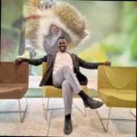 Musa Mumia