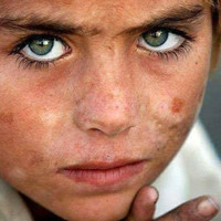 pashto voice