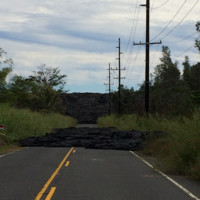 Mark HT Erosion Control