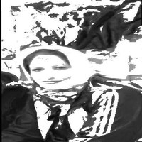 Negar Hekmat Ara