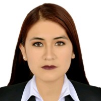 Nikole Geraldine Vilca Cabrera