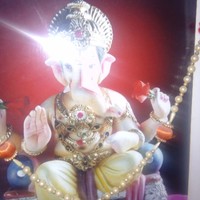 Anil Mulay