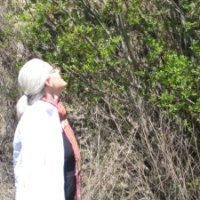 Benedicte Albrectsen