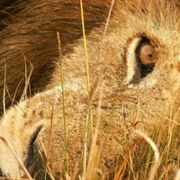 -๑۩۞۩๑ಲೋಕೇಶ್ ۩ಎನ್-๑۩۞۩๑-