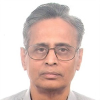 G V Subramanian