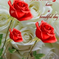 K Satish Shetty