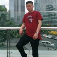 易军平