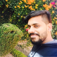 Ankit Kaushik