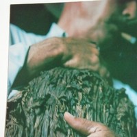 CUEVAS CIGAR FACTORY Sergio Cuevas