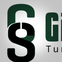 Gillson Solutions Consulting