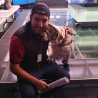 Andrés Rosales Editor, Mercadotecnia, Comunicación Org.