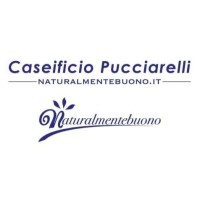 Giuseppe Pucciarelli