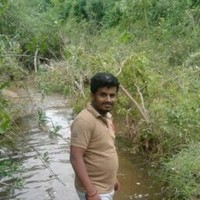 Harish Harikumar