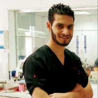 Mr-Mohamed Elsisy