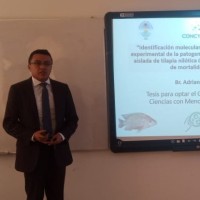 Adrian Zatán Valdiviezo