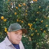 Cícero Sergio