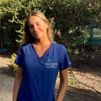 Rosario Valdés Wijnant