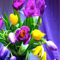 Lilian Khoder