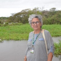 Vandete Sousa