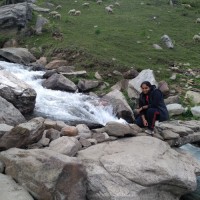 Anshi Shrivastava