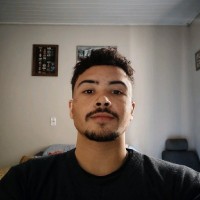 Felipe Dos Santos Apoitia