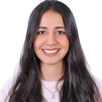 Alaa Mohamed