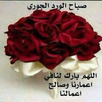 maysa elsheikh
