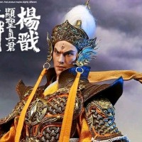 刘辰光