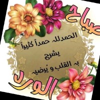 احمد ابو