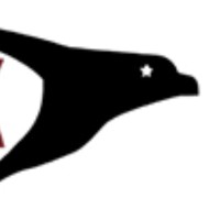 Border Hawk