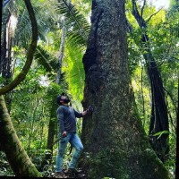 Anthony R S Netto AMAZONN CARBONO ZERO