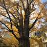 沖田庄泰