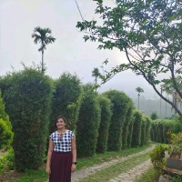 Shilpa T V