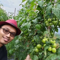 hasan setiawan