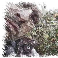 Nectarios Procopiou