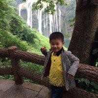 何维波