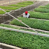 Desmond Arthur Eshun