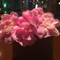 殷晓丹