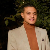 Amr Arif