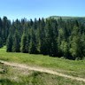 Ірина Олександрівна