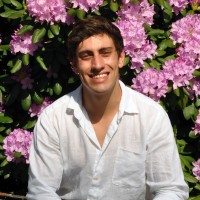 Andy Arrigoni Perez