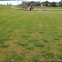 José M Espinoza Villanueva