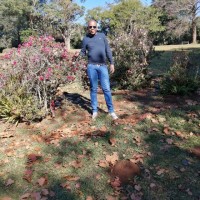 Sthembiso Dludla