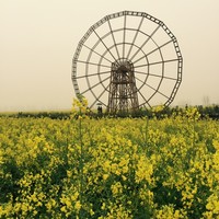 廖冬冬