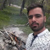 Reza Bigdeli