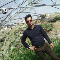 arman hoseini