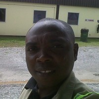 Steven Loseng